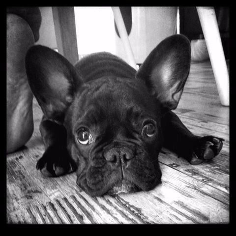 Lola