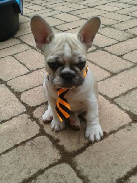 Jack
